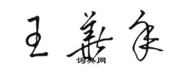 駱恆光王華年草書個性簽名怎么寫