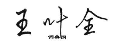 駱恆光王葉全行書個性簽名怎么寫