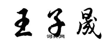 胡問遂王子晟行書個性簽名怎么寫