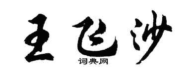 胡問遂王飛沙行書個性簽名怎么寫