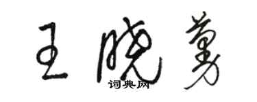 駱恆光王曉蔓草書個性簽名怎么寫