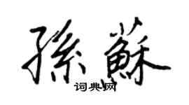 王正良孫蘇行書個性簽名怎么寫