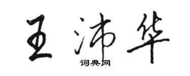 駱恆光王沛華行書個性簽名怎么寫