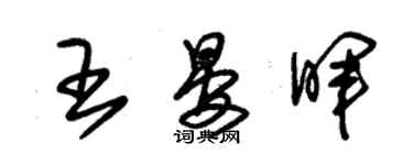 朱錫榮王晏暉草書個性簽名怎么寫
