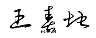 曾慶福王春地草書個性簽名怎么寫