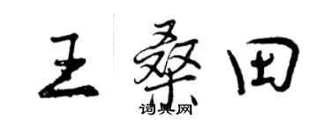 曾慶福王桑田行書個性簽名怎么寫