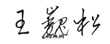 駱恆光王巍松草書個性簽名怎么寫