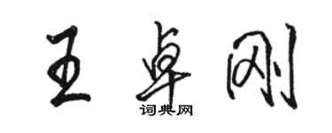 駱恆光王卓剛行書個性簽名怎么寫