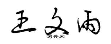 曾慶福王文雨草書個性簽名怎么寫