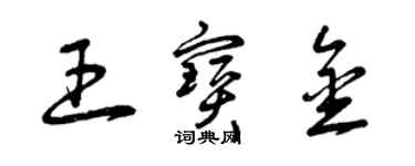 曾慶福王寶金草書個性簽名怎么寫