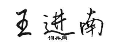 駱恆光王進南行書個性簽名怎么寫