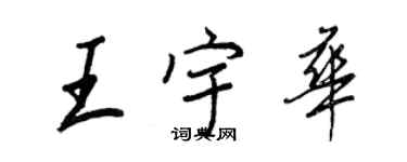 王正良王宇華行書個性簽名怎么寫