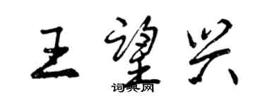 曾慶福王望興行書個性簽名怎么寫