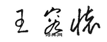 駱恆光王容懷草書個性簽名怎么寫