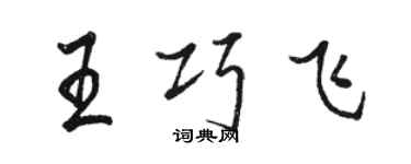 駱恆光王巧飛行書個性簽名怎么寫