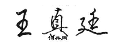 駱恆光王真廷行書個性簽名怎么寫