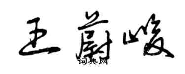 曾慶福王蔚峻草書個性簽名怎么寫