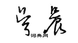 曾慶福吳晨草書個性簽名怎么寫