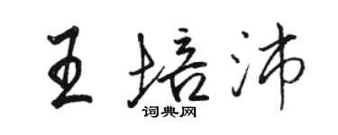 駱恆光王培沛行書個性簽名怎么寫