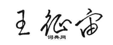 駱恆光王征宙草書個性簽名怎么寫