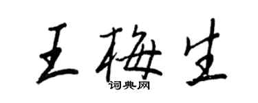王正良王梅生行書個性簽名怎么寫