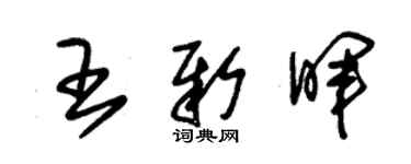 朱錫榮王新暉草書個性簽名怎么寫