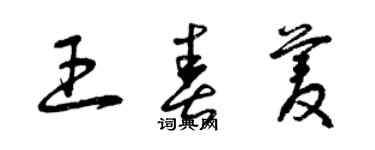 曾慶福王春菱草書個性簽名怎么寫