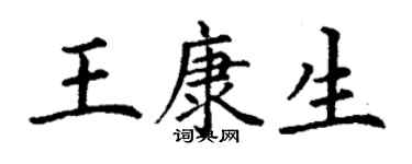 丁謙王康生楷書個性簽名怎么寫