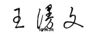 駱恆光王漫文草書個性簽名怎么寫