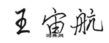 駱恆光王宙航行書個性簽名怎么寫