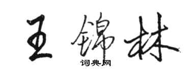 駱恆光王錦林行書個性簽名怎么寫