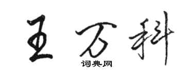 駱恆光王萬科行書個性簽名怎么寫