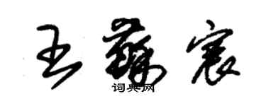 朱錫榮王蘇宸草書個性簽名怎么寫