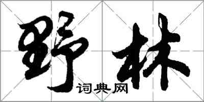 胡問遂野林行書怎么寫