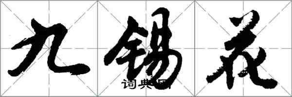 胡問遂九錫花行書怎么寫