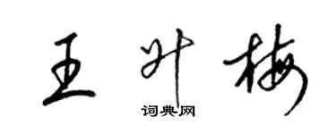 梁錦英王升梅草書個性簽名怎么寫