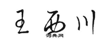 駱恆光王西川草書個性簽名怎么寫