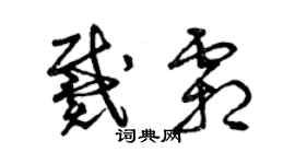 曾慶福戴霜草書個性簽名怎么寫