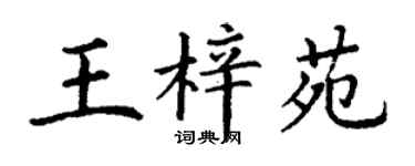 丁謙王梓苑楷書個性簽名怎么寫