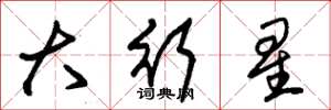 朱錫榮大行星草書怎么寫