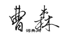 駱恆光曹森行書個性簽名怎么寫