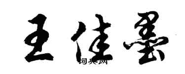 胡問遂王佳墨行書個性簽名怎么寫