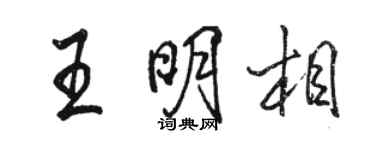 駱恆光王明相行書個性簽名怎么寫