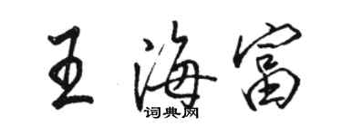 駱恆光王海富行書個性簽名怎么寫