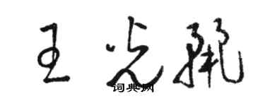 駱恆光王光麗草書個性簽名怎么寫