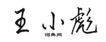 駱恆光王小彪行書個性簽名怎么寫