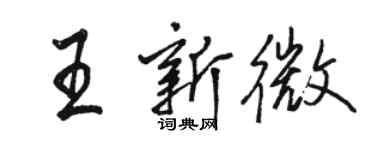 駱恆光王新微行書個性簽名怎么寫