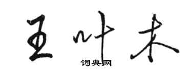 駱恆光王葉木行書個性簽名怎么寫