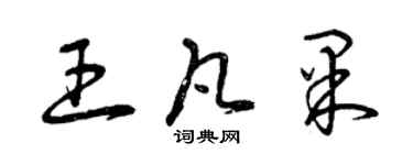 曾慶福王凡果草書個性簽名怎么寫