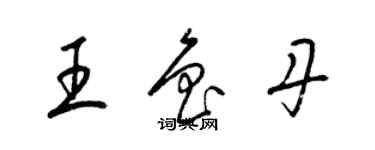 梁錦英王魯丹草書個性簽名怎么寫